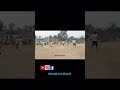 local football match 🏆💯☑️⚽।। #youtubereels #youtubeshorts #viralreels #footballlovers
